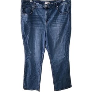 Arula Womens Plus Size B 21"‎ Waist Denim Pants Blue Jeans